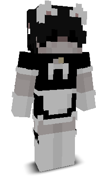 voids_homekuns's skin