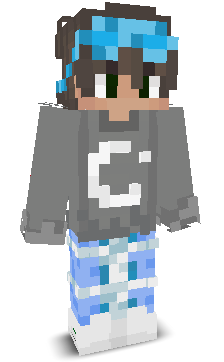 VIP220k's skin