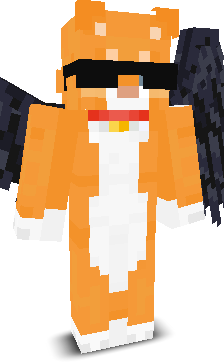 pssf's skin