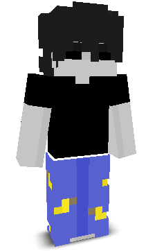LNinja's skin