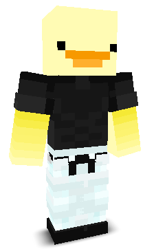 fried_chicken445's skin
