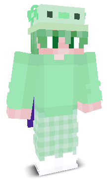 Minty_player's skin