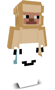 __Pr1zraK__'s skin