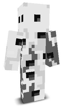 Rand0m1s3d's skin