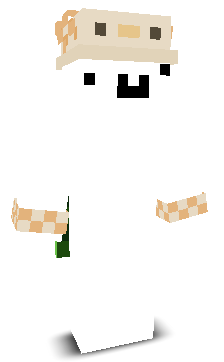 BnErik's skin