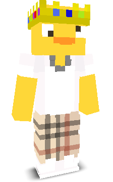 exeVoidz's skin