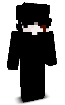 _w1zarrd's skin