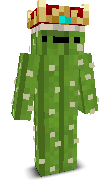 Prikzz's skin