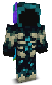 ItzWardenz's skin