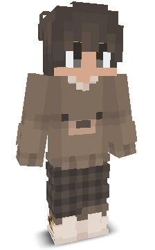 ItsBeartjeX's skin