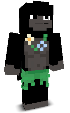 Lvki1's skin