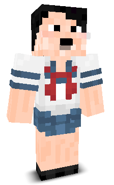 Dominik134's skin