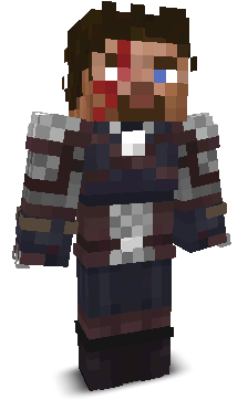 Mcenderdragon24's skin