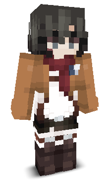 acezik's skin