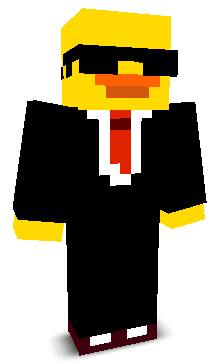 duckvvv's skin