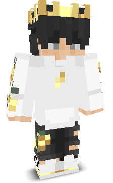 Pxrc2480's skin