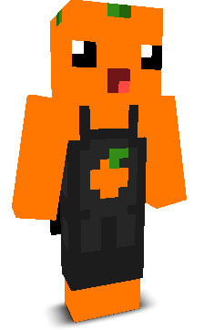 H1rdcore's skin