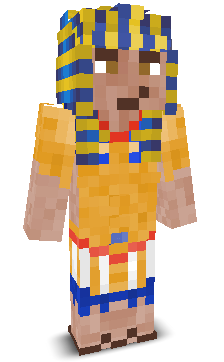 Schwachm9nn's skin
