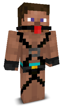 FatGayIdiot's skin