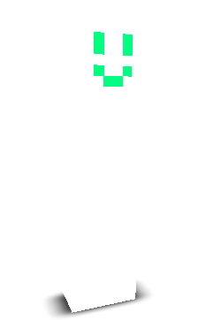 minewild0422's skin