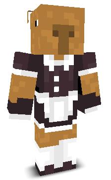 Ho0pBee's skin