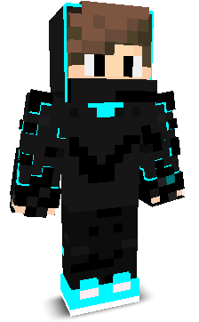 Robin_Robin7's skin