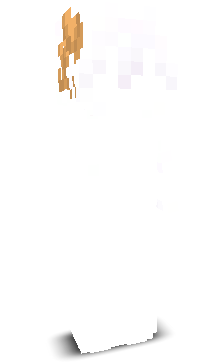 Slatetion's skin