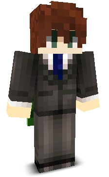 Patryk1_1's skin
