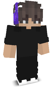 ToStan24's skin