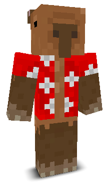 braisf00's skin