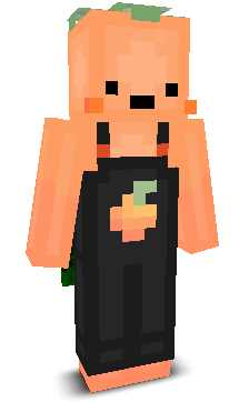 dudisnice's skin