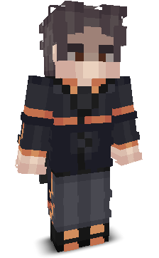 Try_To_Win's skin
