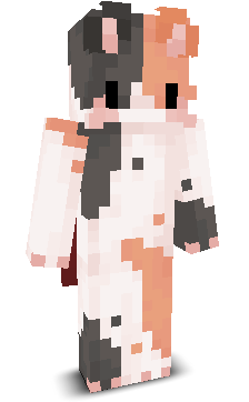 r1ngt0ne's skin