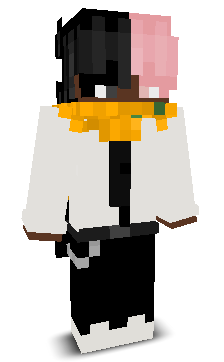 altxr's skin