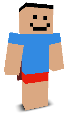 ignBlocky's skin