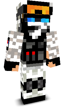 SnowStormAssasin's skin