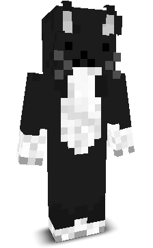 _Notlink's skin