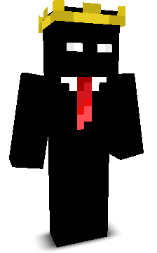 Enderpro_99's skin