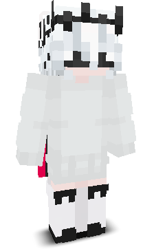 K3_Niter's skin