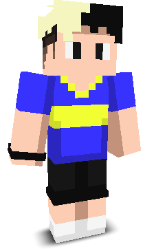 virtualroom's skin