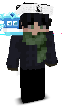 Metablocks's skin