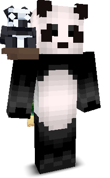 PandaPw's skin