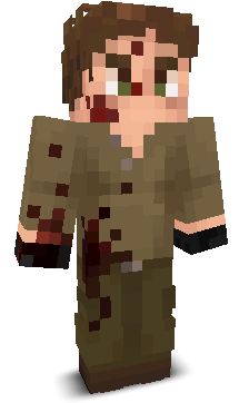 D1V1S10N's skin