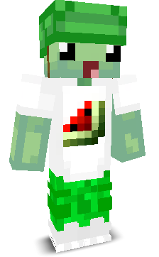 ev6l's skin