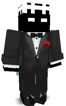 NoobDestroys's skin
