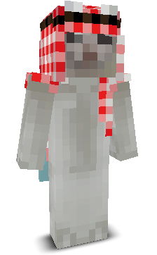 SaafisW's skin