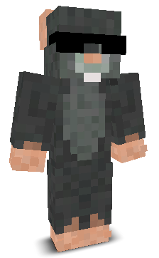 L33TNoah's skin