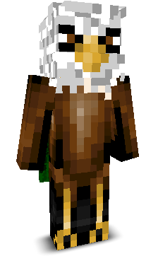 Eaglevr's skin