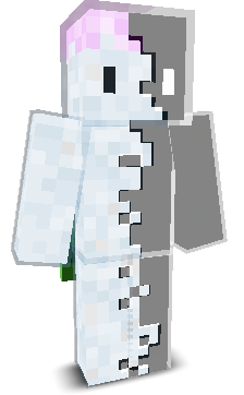 SIPAYCOR's skin