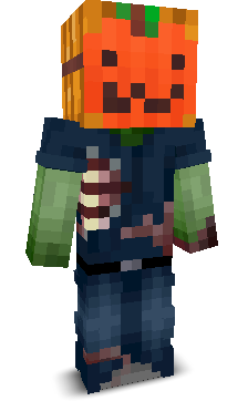 ToFlashy's skin